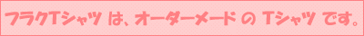 フラクＴシャツ